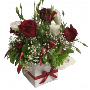 red n white roses