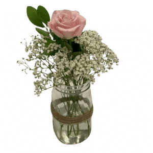 single pink roses