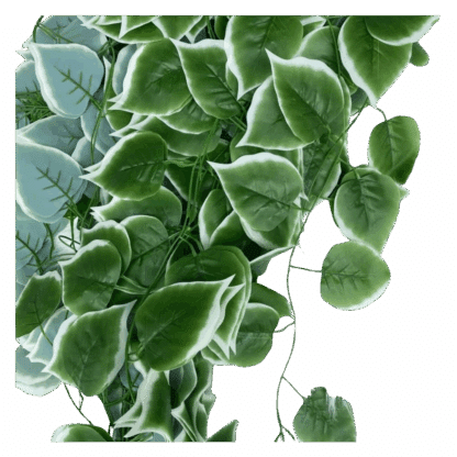 Artificial Leaves