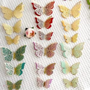 Butterfly Accessories 10 pc