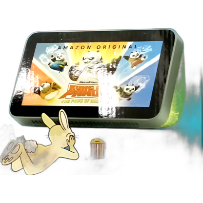 Echo Show 5 Kids